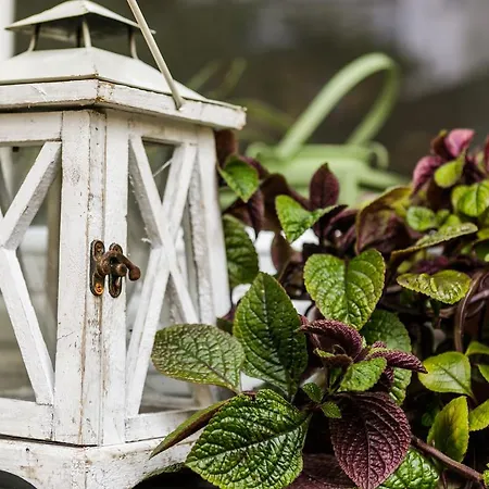 Berka 9 Apartament *